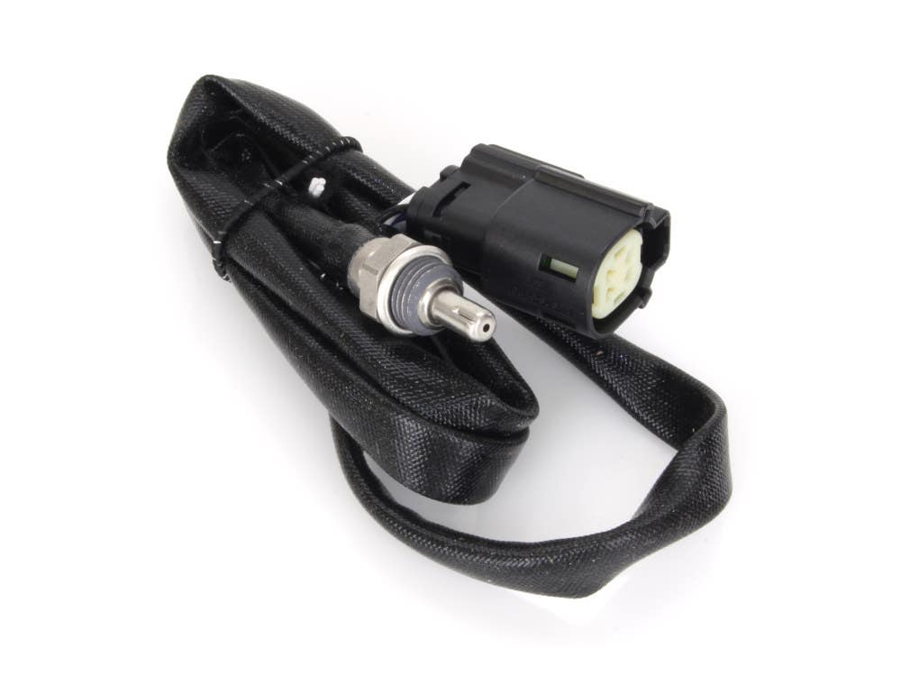 CYCLE PRO LIC OXYGEN SENSOR RR FLH10-20
