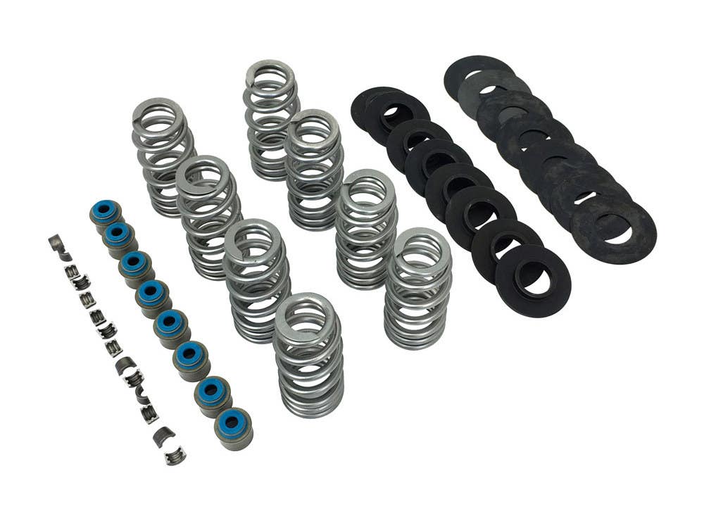 FEULING VALVE SPRING KIT M817UP .565