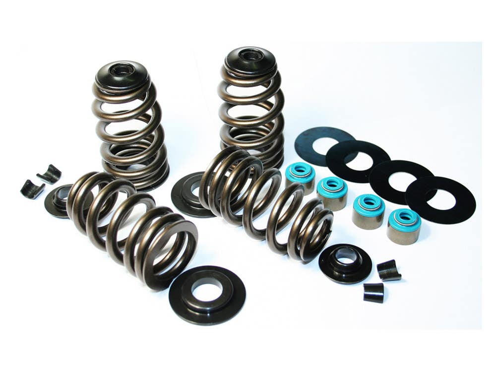 FEULING VALVE SPRING KIT BT84-04 .585 BH