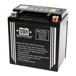 USPS AGM Battery
