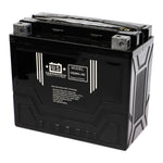 USPS AGM Battery