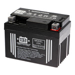 USPS AGM Battery