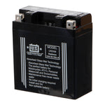 USPS AGM Battery