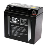 USPS AGM Battery