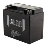 USPS AGM Battery