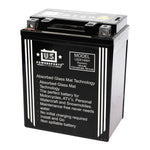 USPS AGM Battery
