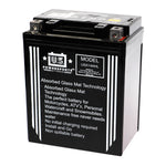 USPS AGM Battery