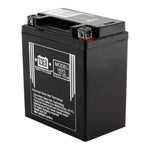 USPS AGM Battery
