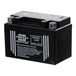 USPS AGM Battery