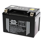 USPS AGM Battery
