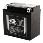 USPS AGM Battery