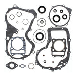 Vertex Complete Gasket Set with Oil Seals (811676–811999)