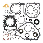 Vertex Complete Gasket Set with Oil Seals (811676–811999)