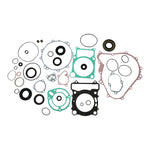 Complete Gasket Set with Oil Seals