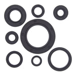 Oil Seal Kit