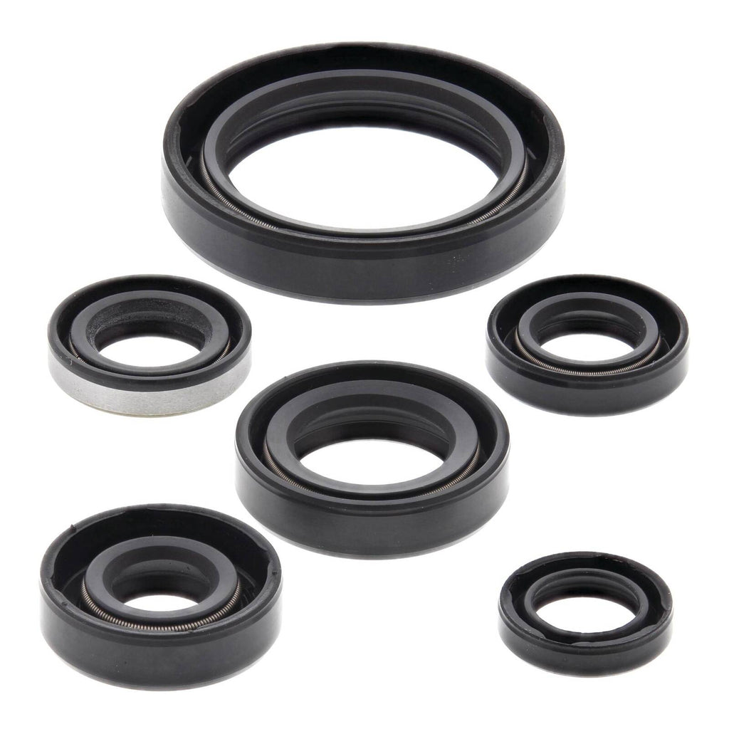 Oil Seal Kit