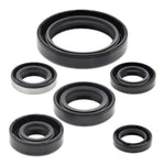 Oil Seal Kit