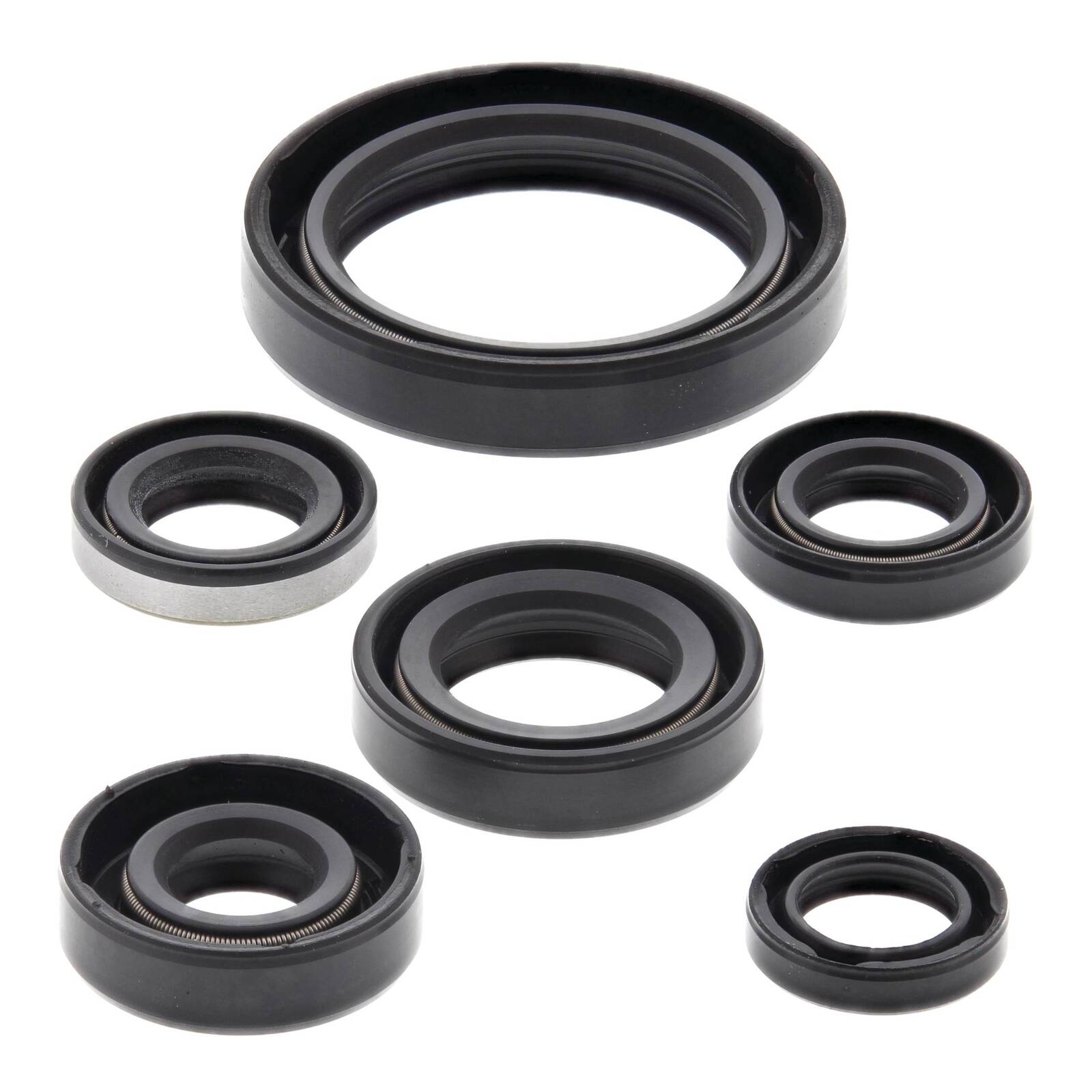 Oil Seal Kit