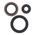 Oil Seal Kit