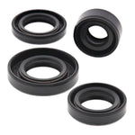 Oil Seal Kit