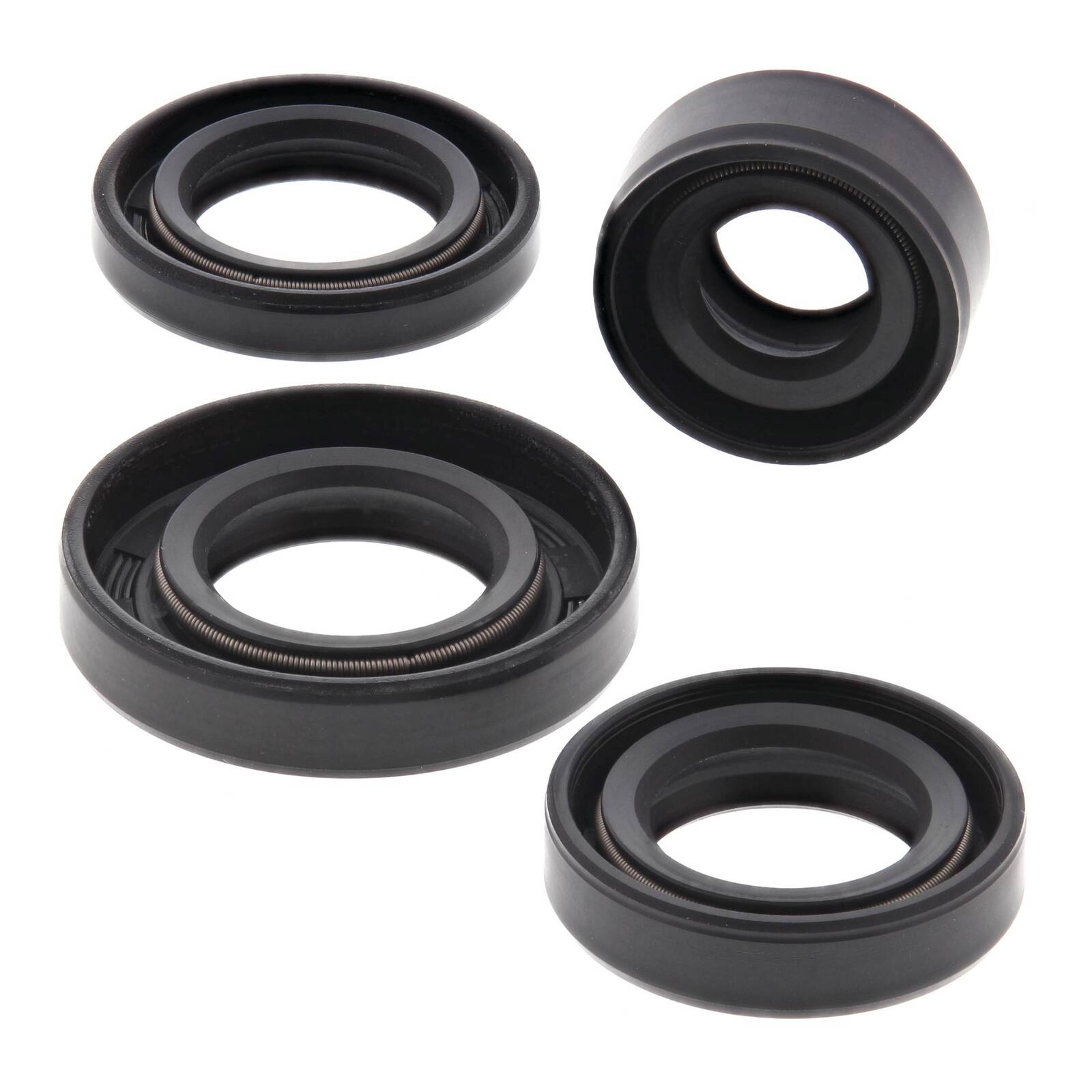 Oil Seal Kit