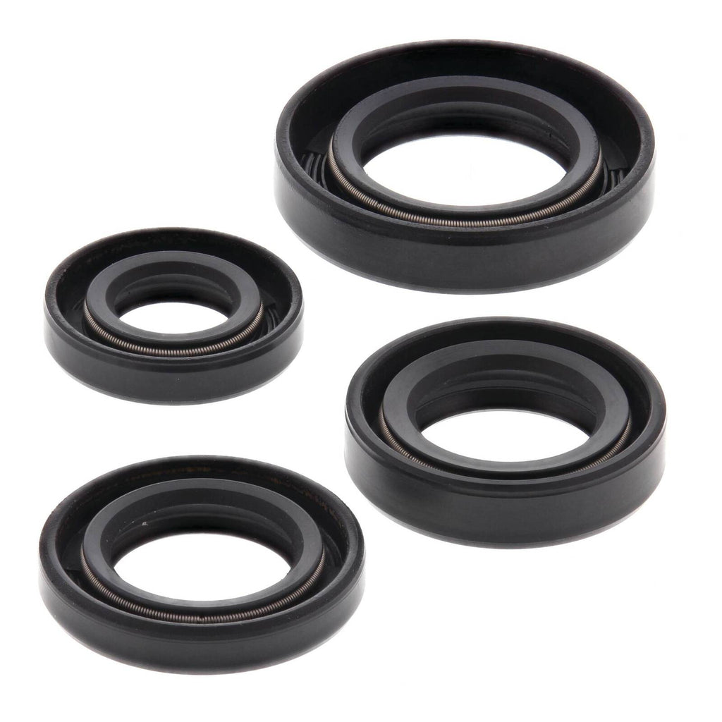 Oil Seal Kit