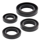 Oil Seal Kit