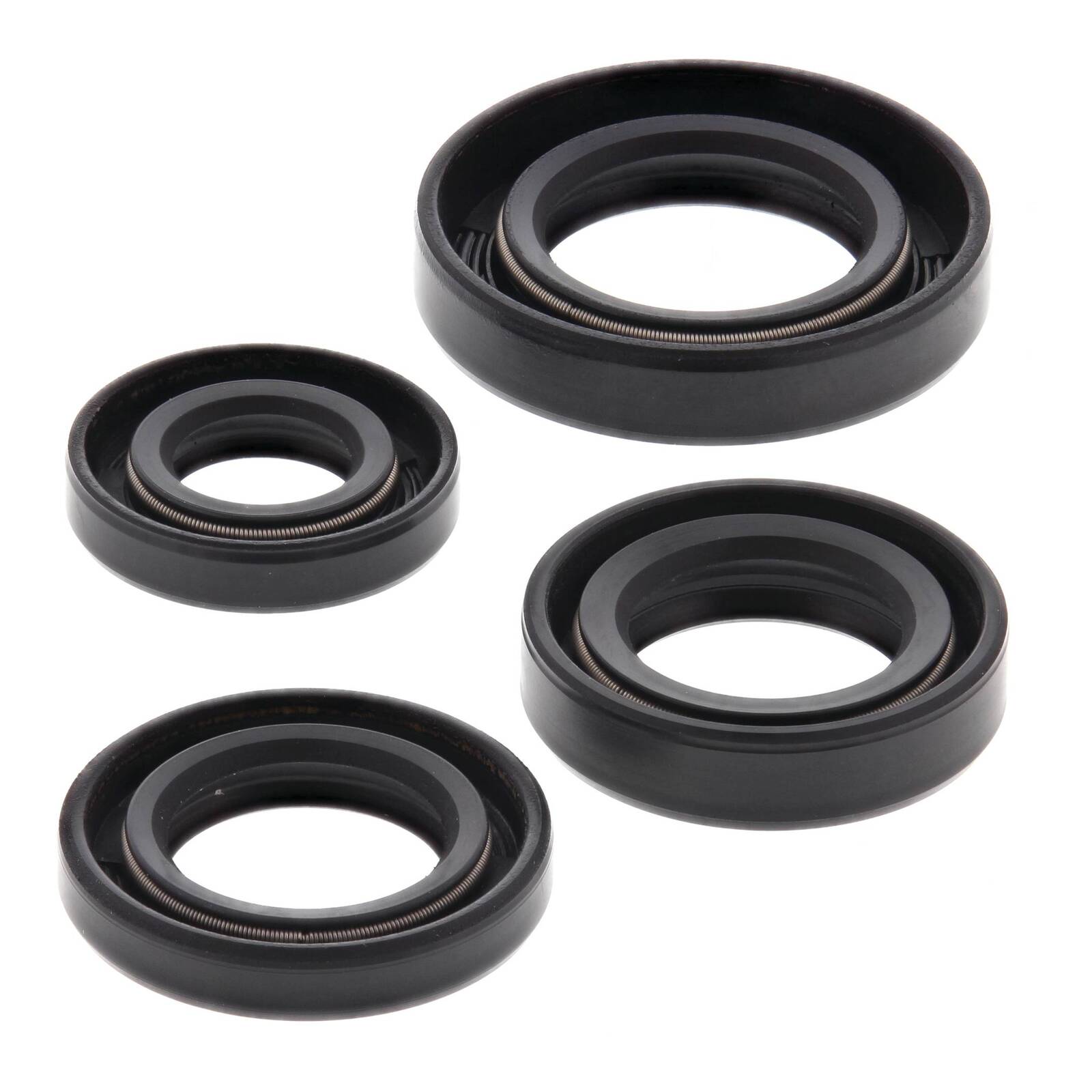 Oil Seal Kit