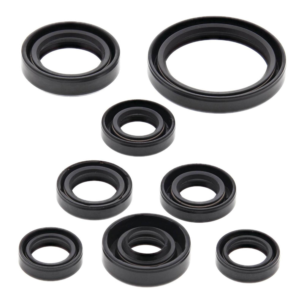 Oil Seal Kit