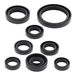 Oil Seal Kit