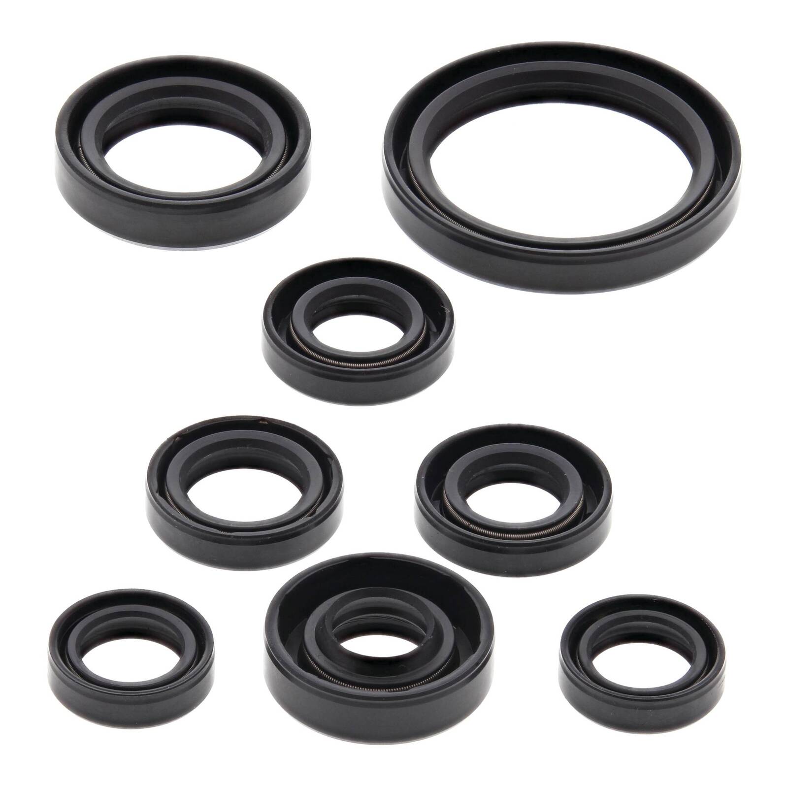 Oil Seal Kit