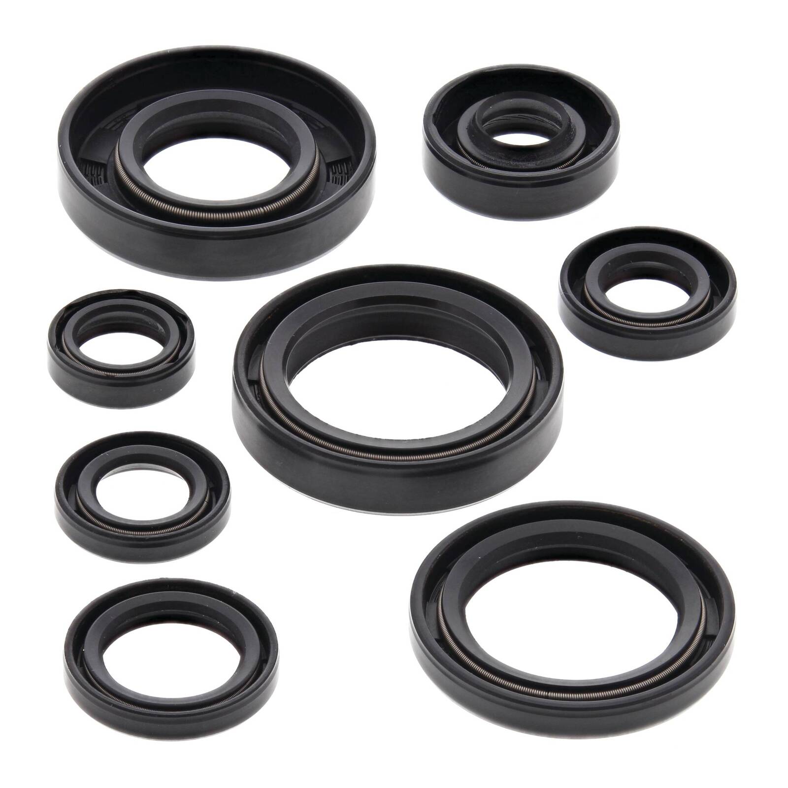 Oil Seal Kit