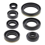 Oil Seal Kit