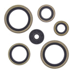 Oil Seal Kit