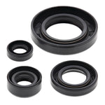 Oil Seal Kit