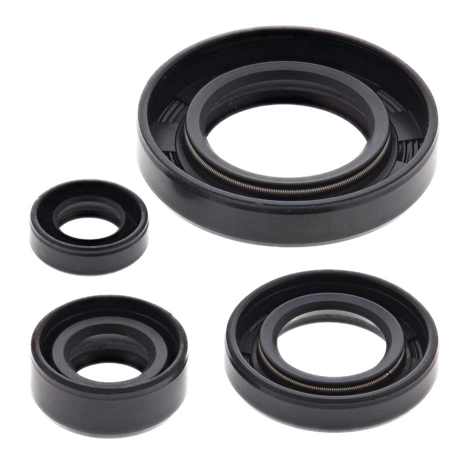 Oil Seal Kit
