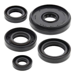 Oil Seal Kit