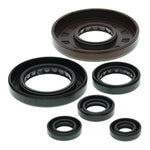Oil Seal Kit