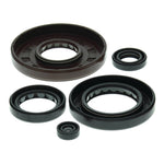 Oil Seal Kit