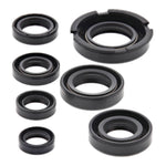 Oil Seal Kit