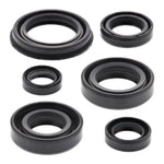 Oil Seal Kit