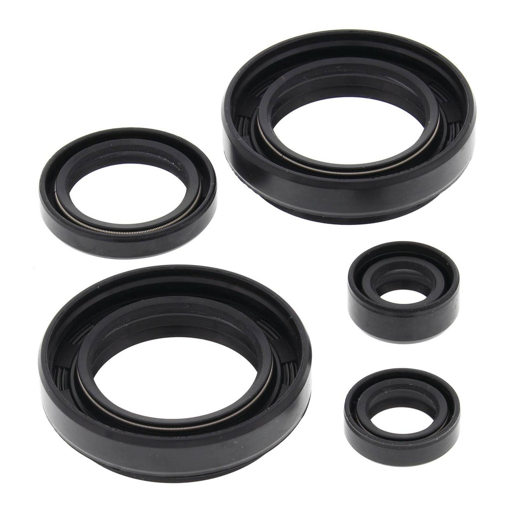 Oil Seal Kit