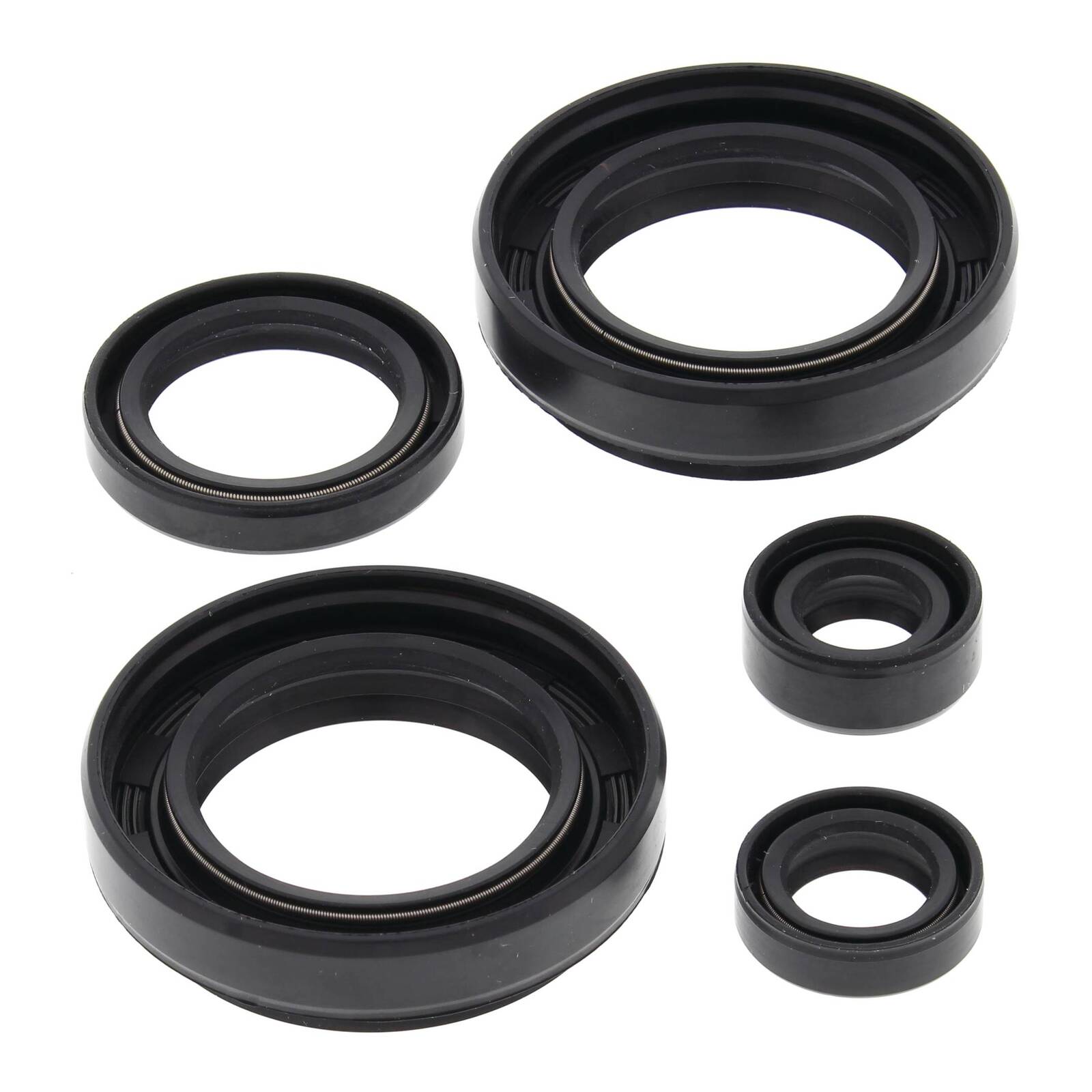 Oil Seal Kit