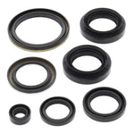 Oil Seal Kit