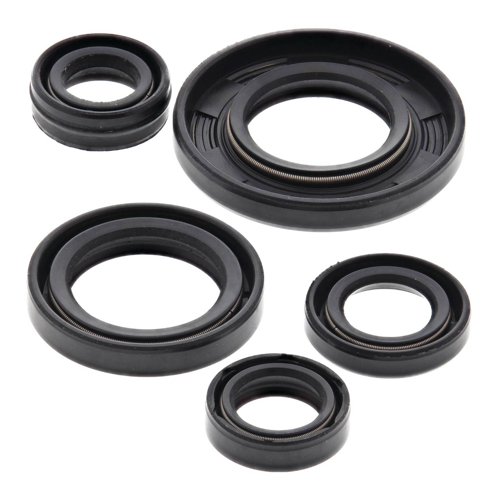 Oil Seal Kit