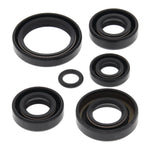 Oil Seal Kit