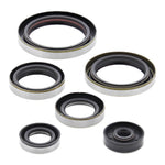 Oil Seal Kit