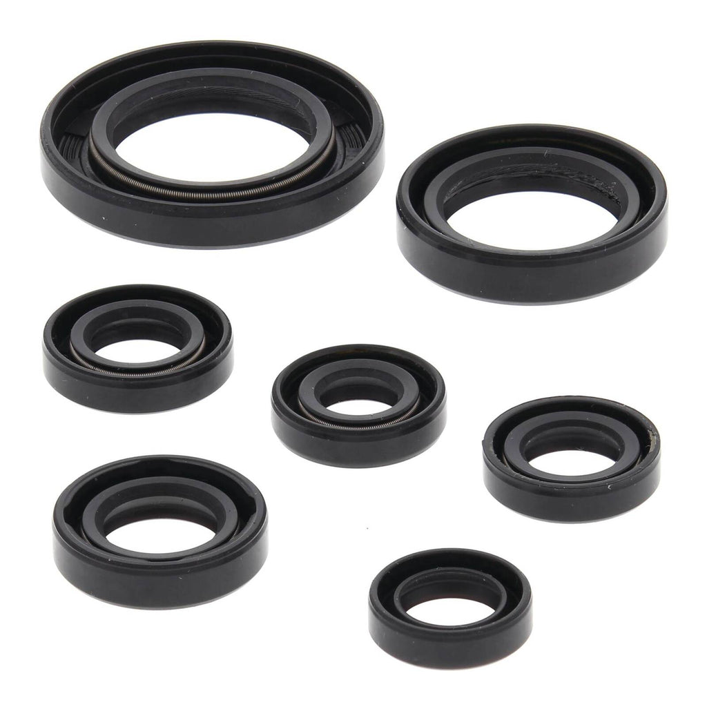 Oil Seal Kit