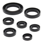Oil Seal Kit