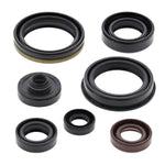 Oil Seal Kit
